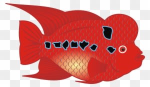 Flowerhorn Fish - Flower Horn Fish Clipart - Transparent PNG Free Download
