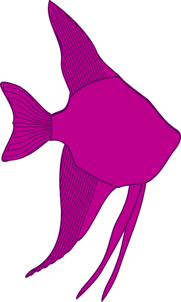 Angelfish Silhouette - Photo - Cartoon Angel Fish Clipart - Transparent PNG Free Download
