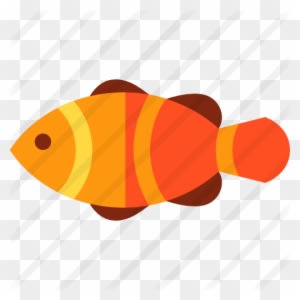 Clown Fish - Coral Reef Fish - Transparent PNG Free Download