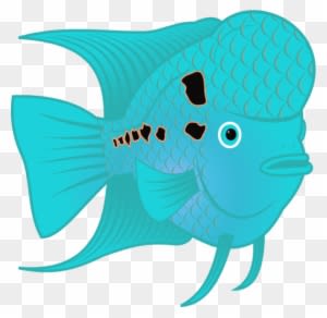Flowerhorn Fish - Flower Horn Fish Clip Art - Transparent PNG Free Download