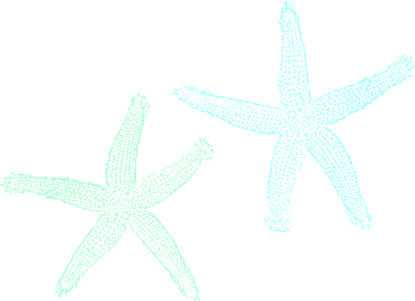 Mint Clipart Starfish - Fish Clip Art - Transparent PNG Free Download