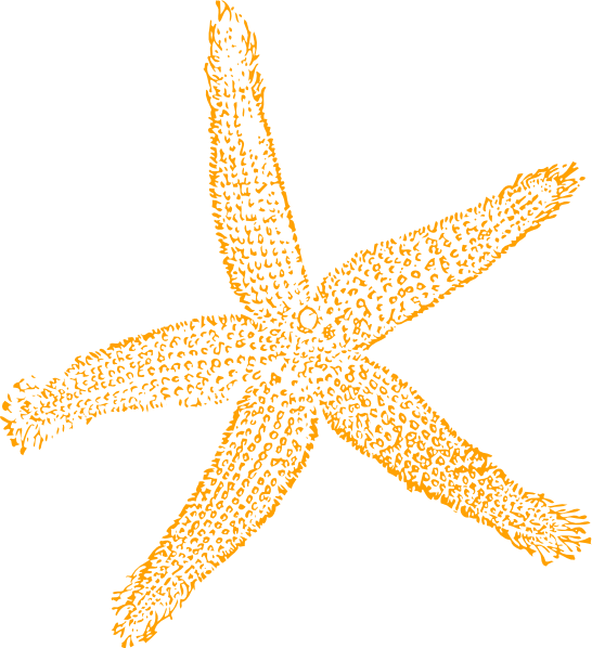 Sandy Starfish Clip Art At Clker - Fish Clip Art - Transparent PNG Free Download