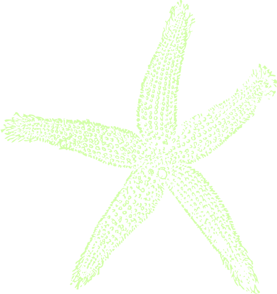 Single Starfish Seafoam Clip Art - Fish Clip Art - Transparent PNG Free Download