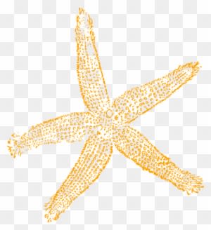 Sandy Starfish Clip Art At Clker - Fish Clip Art - Transparent PNG Free Download