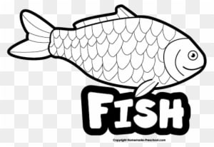 Click To Save Image - Coral Reef Fish - Transparent PNG Free Download