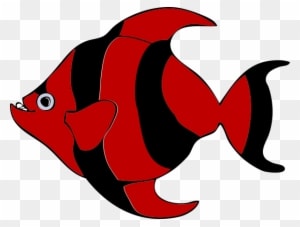 Coral Reef Fish - Transparent PNG Free Download