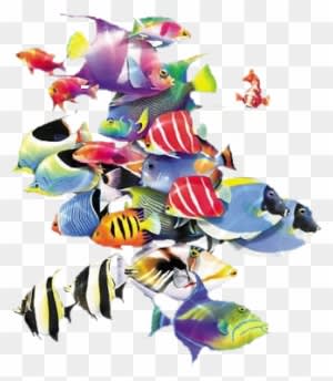 Oa-32 - Uv Protection Swimpy Uv Suit Fishes Aqua - Transparent PNG Free Download