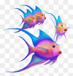 Image Du Blog Zezete2 - Coral Reef Fish - Transparent PNG Free Download