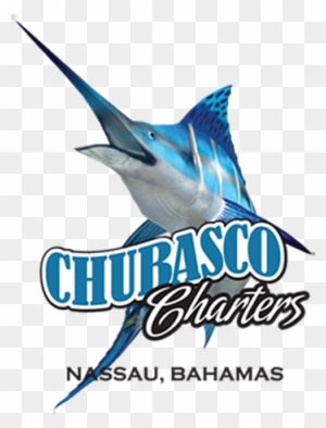 Ghana Blue Marlin Fishing Charters - Transparent PNG Free Download