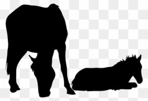 Mare With Foal Silhouette, Horse Silhouette Clipart - Horse And Foal Silhouette - Transparent PNG Free Download