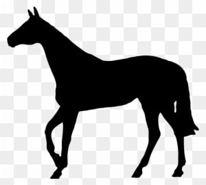 Horse Black Silhouette - Horse Silhouette No Background - Transparent PNG Free Download