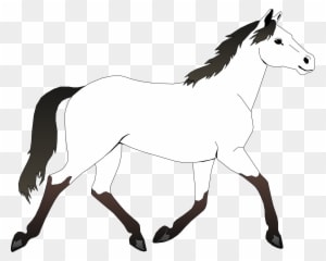 Clip Art Info - Mustang Horse Coloring Pages - Transparent PNG Free Download