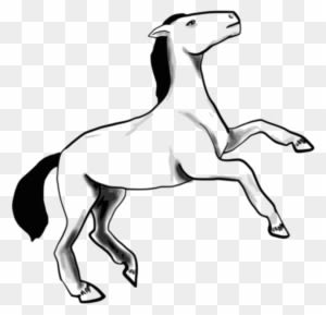 Free Horse - Horse Sketch Shower Curtain - Transparent PNG Free Download