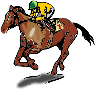 Horse Jockey Clip Art - Race Horse Shower Curtain - Transparent PNG Free Download