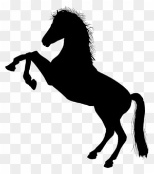 Tier, Schwarz, Pferde, Pferd, Realistische, Fahrt - Clip Art Horse Silhouette - Transparent PNG Free Download