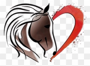Heart Of Phoenix - Horse Drawing Heart - Transparent PNG Free Download
