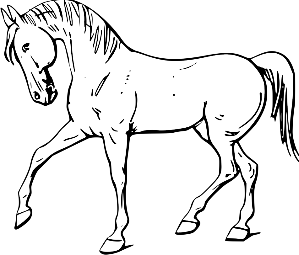 Farm - Clipart - Black - And - White - Horse Black And White - Transparent PNG Free Download