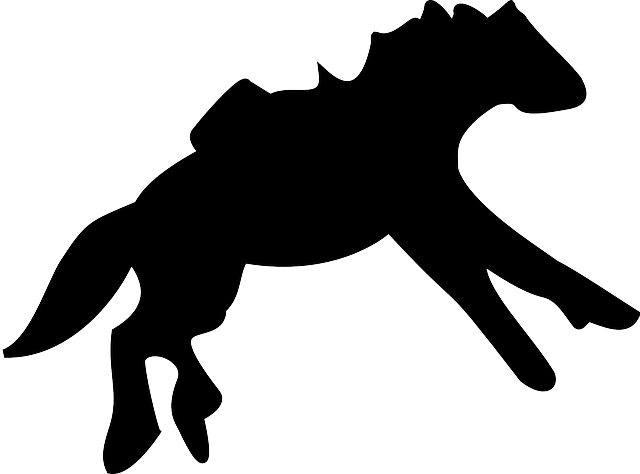Mammal Silhouette, Farm, Horse, Running, Animal, Mammal - Horse - Transparent PNG Free Download