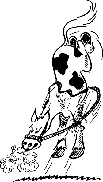 Bucking Horse Silhouette Clipart - Bucking Horse Clip Art - Transparent PNG Free Download