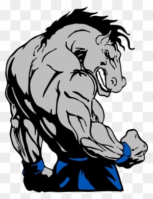 Contact Us - Bodybuilding Horse - Transparent PNG Free Download
