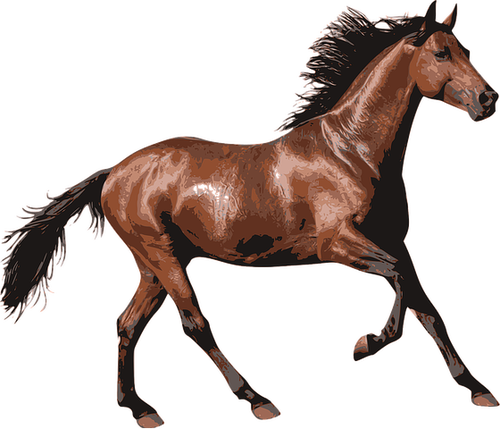 Pferde Klick > - Horse Hd - Transparent PNG Free Download