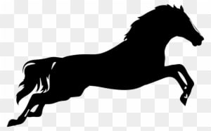 Sprung, Springen, Pferd, Tier, Pferde - Horse Silhouette - Transparent PNG Free Download