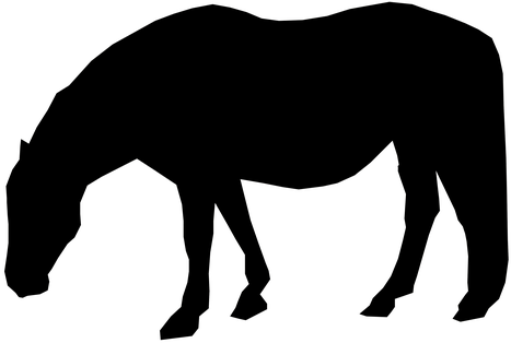 Kontur, Pferd, Feld, Reiten, Dressur - Horse - Transparent PNG Free Download