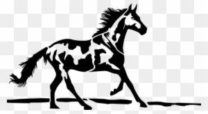 Her Türlü Soru, Görüş Ve Desen Istekleriniz Için Ulaşabilirsiniz - Mustang Horse - Transparent PNG Free Download