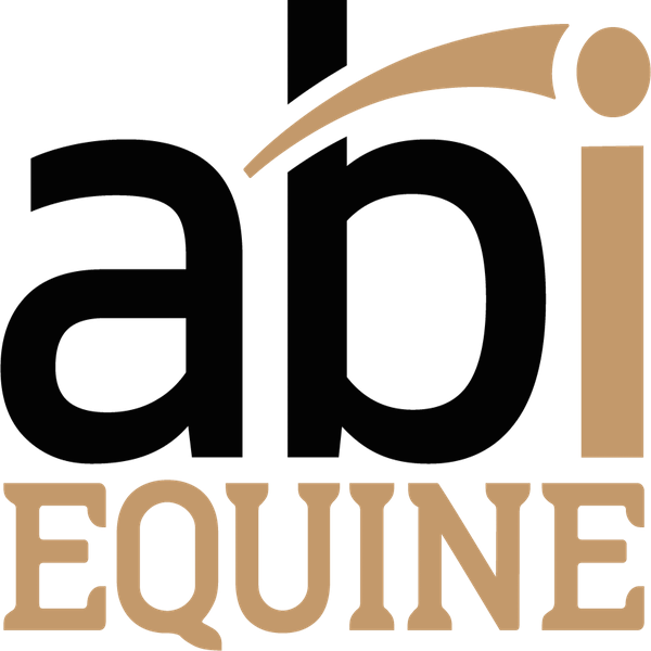 Abi Equine Is Proud To Be The Exclusive Arena Drag - Horse - Transparent PNG Free Download