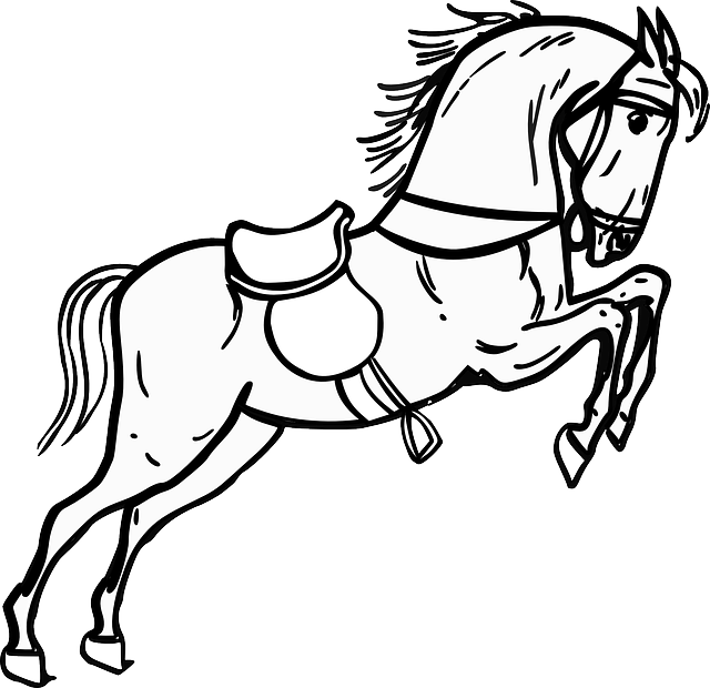 Contour Horse, Jumping, Standing, Animal, Outline, - Horse Black & White - Transparent PNG Free Download
