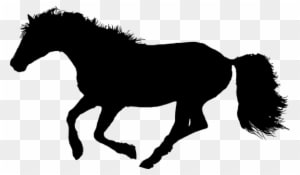 Animal, Equine, Galloping, Horse - Horse Galloping Png - Transparent PNG Free Download