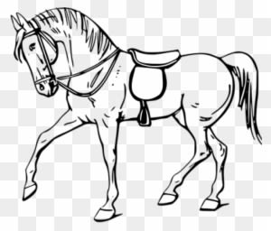 Permalink To Horse Clipart Black And White Volleyball - Outline Of A Horse - Transparent PNG Free Download