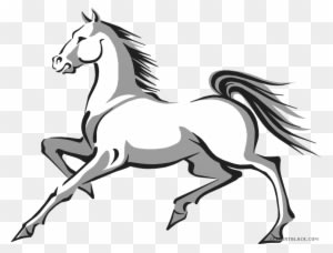 Horse Racing Animal Free Black White Clipart Images - Mustang Horse Clip Art - Transparent PNG Free Download