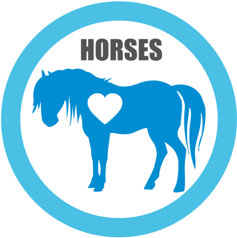 Horses For Adoption - Small Horse Silhouette - Transparent PNG Free Download
