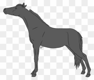 Horse Lineart Greyscale On Equinelineart Deviantart - Horse - Transparent PNG Free Download