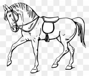 Walking Horse Outline - Colouring Picture Of Horse - Transparent PNG Free Download