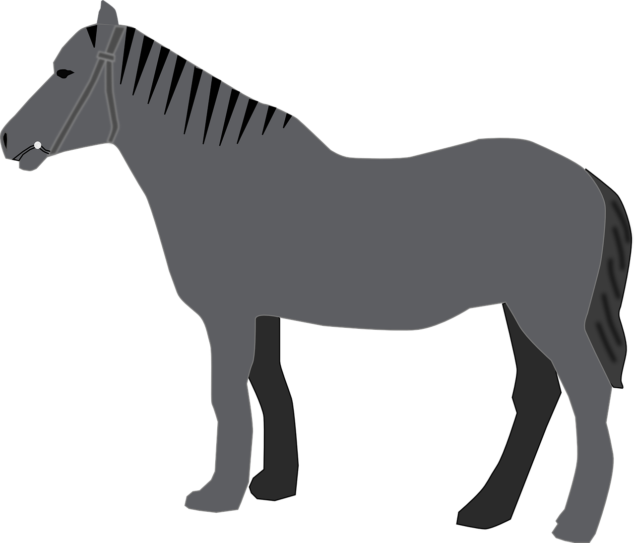 Horse Grey Animal Mammal Transparent Image - Custom Grey Horse Shower Curtain - Transparent PNG Free Download