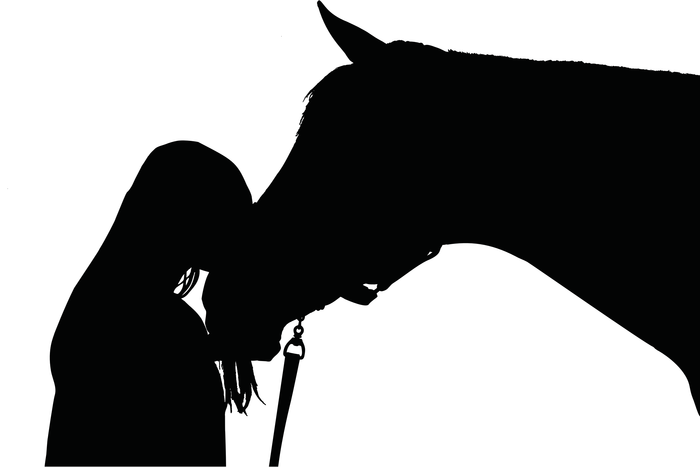 And Horse Silhouette - Horse Lovers - Women's Tee - Transparent PNG Free Download