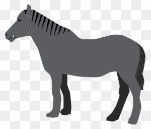 Horse Grey Animal Mammal Transparent Image - Custom Grey Horse Shower Curtain - Transparent PNG Free Download