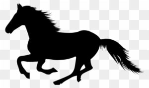 Horse-3 - Black Horse Transparent Background - Transparent PNG Free Download