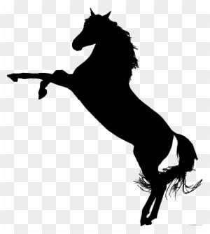 Horse Silhouette Animal Free Black White Clipart Images - Standing Horse Silhouette - Transparent PNG Free Download