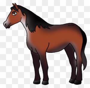 State Honorary Equine Of North Dakota - Phillip Martin Horse Clipart - Transparent PNG Free Download