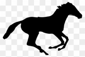 Animal Equine Horse Ride Silhouette Horse - Kentucky Derby 2018 Horses - Transparent PNG Free Download