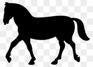 Animal Equine Horse Rearing Ride Silhouett - Horse Silhouette - Transparent PNG Free Download
