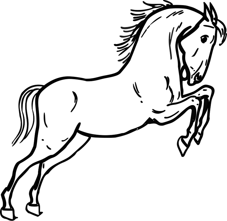 Outline Mustang Horse Cipart - Horse Clipart Black And White - Transparent PNG Free Download