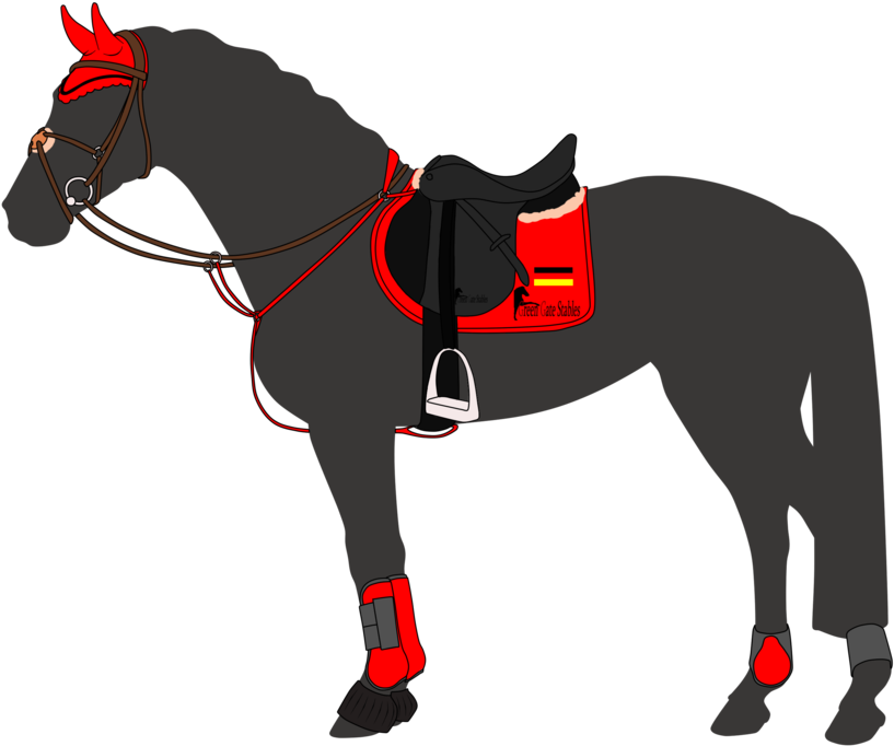 Horse Jumping Illustrations And Clip Art 3269 Horse - Show Jumping Horse Equipment - Transparent PNG Free Download