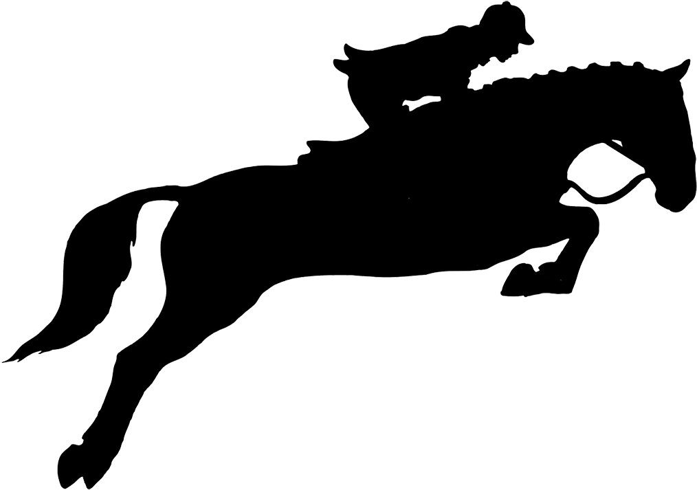 Horse Jumping Hurdle Png - Horse And Rider Jumping Silhouette - Transparent PNG Free Download