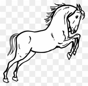 Outline Mustang Horse Cipart - Horse Clipart Black And White - Transparent PNG Free Download
