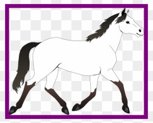 Incredible Black And White Horse Clipart Best Picture - Mustang Horse Coloring Pages - Transparent PNG Free Download