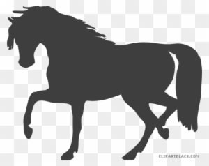 Horse Quality Animal Free Black White Clipart Images - Horse Silhouette No Background - Transparent PNG Free Download